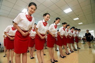 廣告設(shè)計中的服務(wù)禮儀規(guī)范 專業(yè)形象與客戶信任的基石